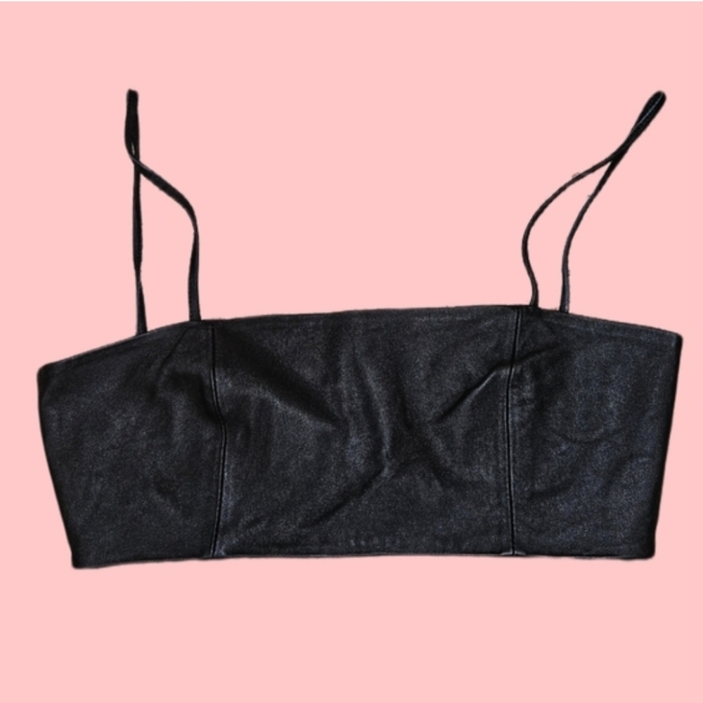 Nwot ZARA Corset Top